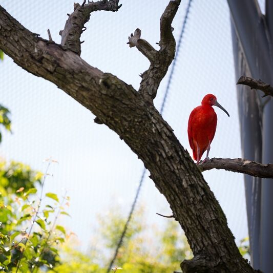 Besuch im Züri Zoo