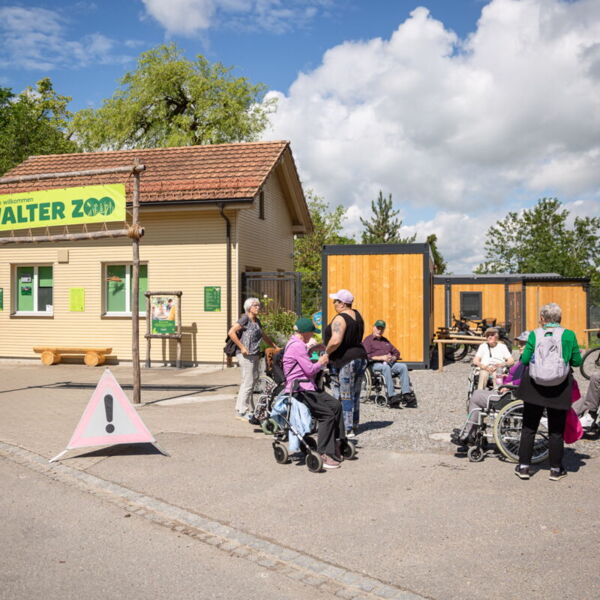 Ausflug in den Walter Zoo